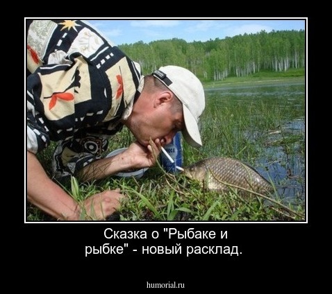 Сказка о "Рыбаке и рыбке" - новый расклад.