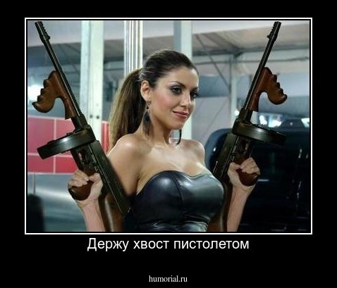 Держу хвост пистолетом