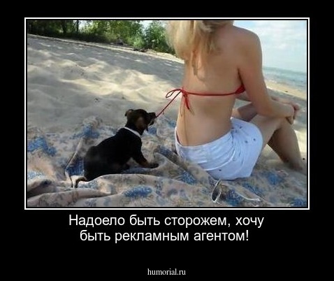 Надоело быть сторожем, хочу быть рекламным агентом!