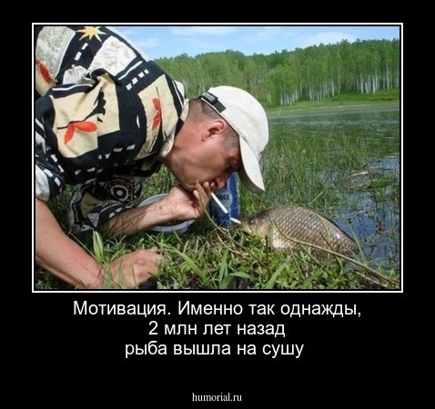 Мотивация. Именно так однажды, 2 млн лет назад рыба вышла на сушу
