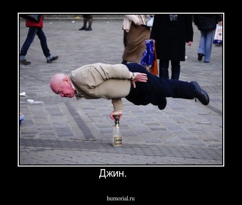 Джин.     