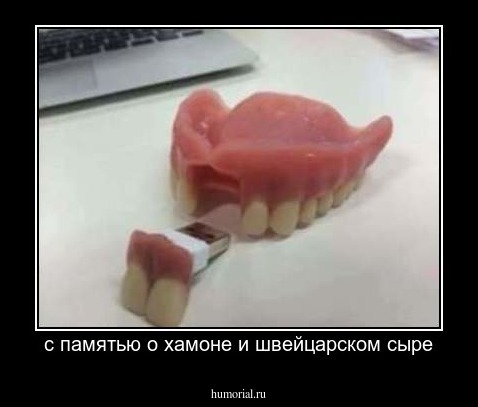с памятью о хамоне и швейцарском сыре
