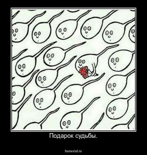 Подарок судьбы.