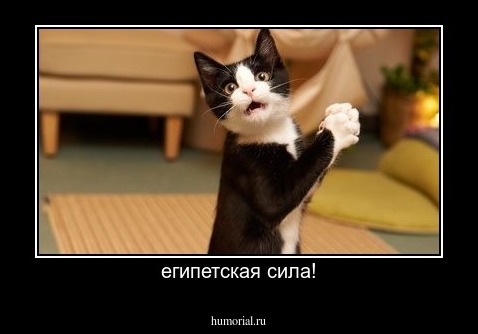 египетская сила!