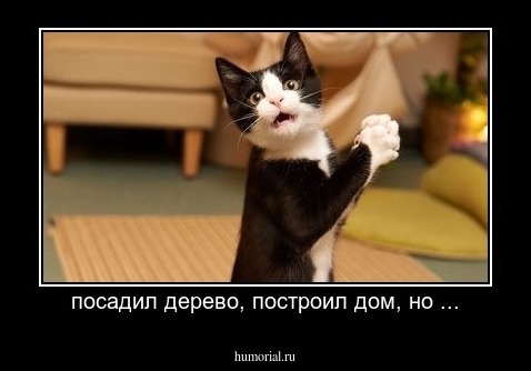 посадил дерево, построил дом, но ...