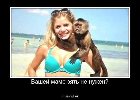 Вашей маме зять не нужен?