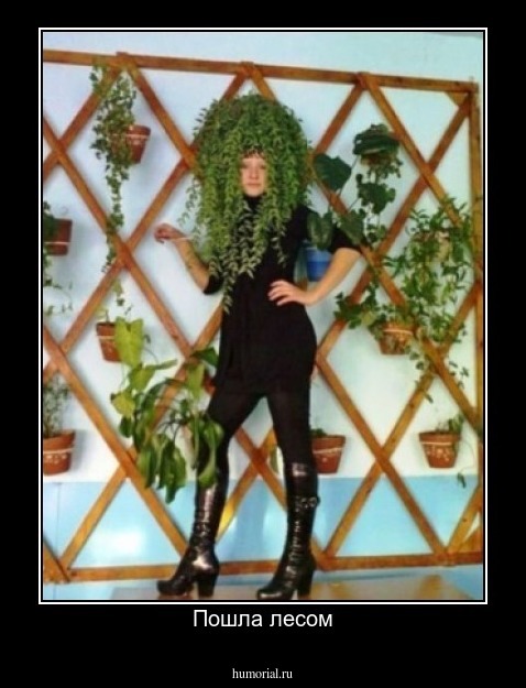 Пошла лесом