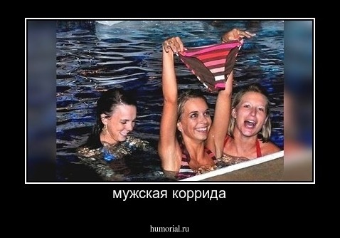 мужская коррида