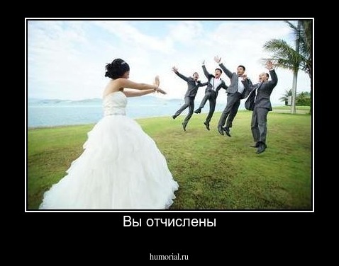 Вы отчислены