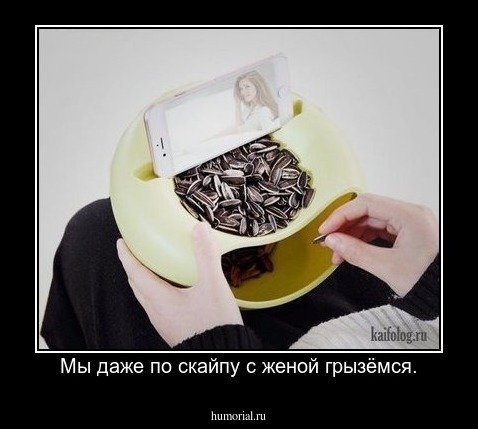 Мы даже по скайпу с женой грызёмся.