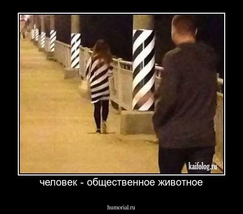 человек - общественное животное