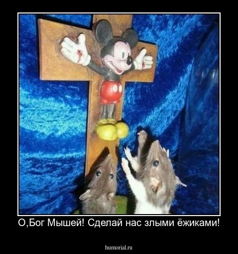 О,Бог Мышей! Сделай нас злыми ёжиками!