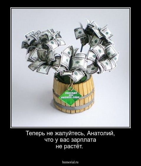 Теперь не жалуйтесь, Анатолий, что у вас зарплата не растёт.