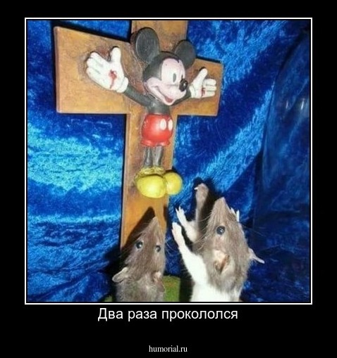 Два раза прокололся