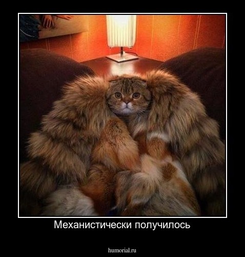 Механистически получилось