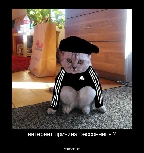 интернет причина бессонницы?