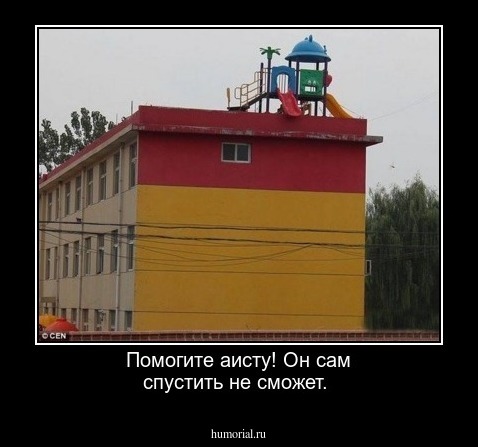 Помогите аисту! Он сам спустить не сможет.