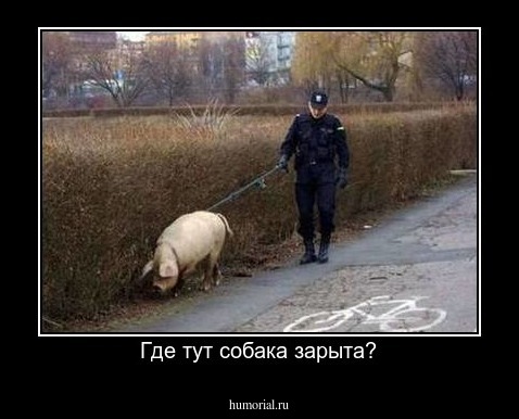 Где тут собака зарыта?