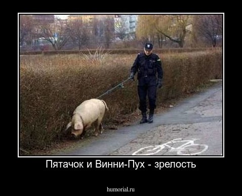 Пятачок и Винни-Пух - зрелость