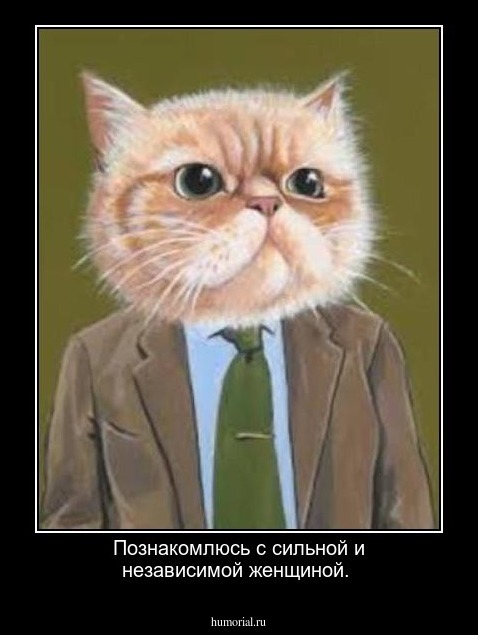 Познакомлюсь с сильной и независимой женщиной.