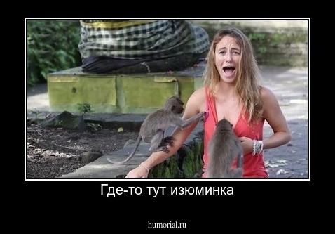 Где-то тут изюминка