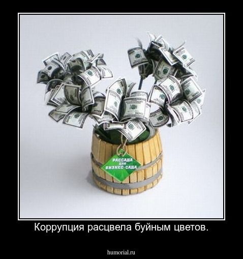 Коррупция расцвела буйным цветов.