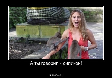 А ты говорил - силикон!