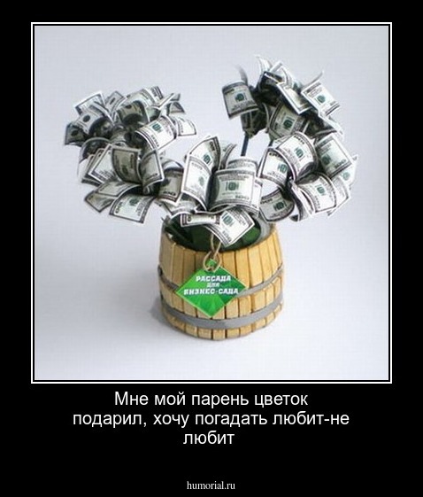 Мне  мой парень  цветок подарил, хочу  погадать любит-не любит