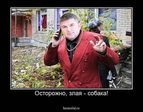 Осторожно, злая - собака!
