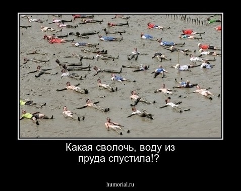 Какая сволочь, воду из пруда спустила!?          