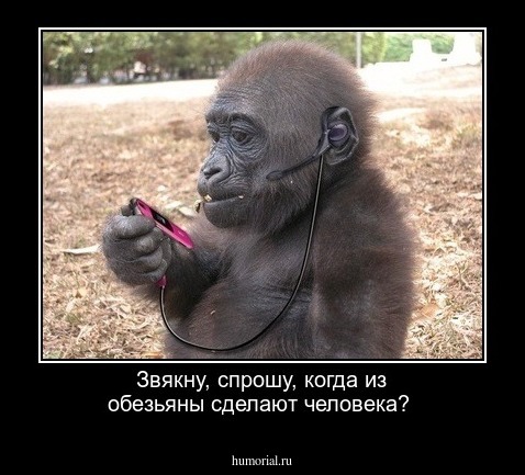 Звякну, спрошу, когда из обезьяны сделают человека?  