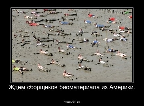 Ждём сборщиков биоматериала из Америки.