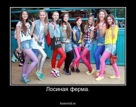 Лосиная ферма.