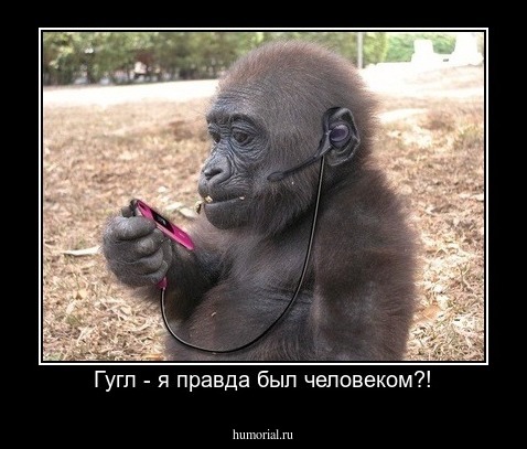 Гугл - я правда был человеком?!