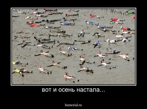вот и осень настала...