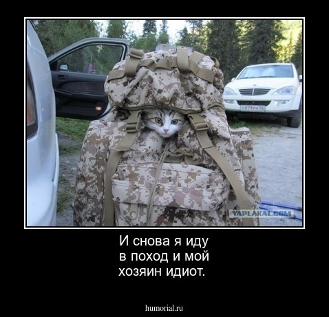 И снова я иду в поход и мой хозяин идиот.