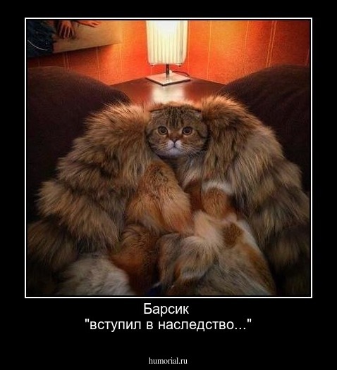  Барсик 
"вступил в наследство..."