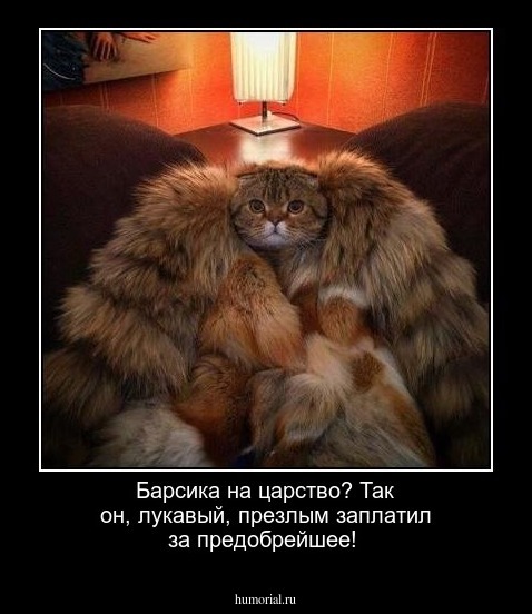 Барсика на царство? Так он, лукавый, презлым заплатил за предобрейшее!