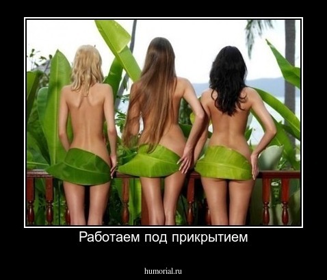 Работаем под прикрытием