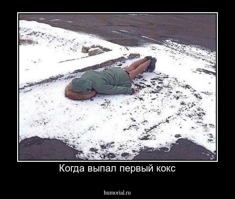 Когда выпал первый кокс