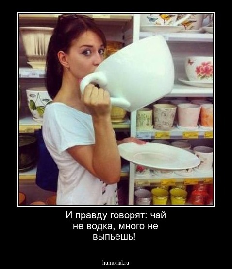 И правду говорят: чай не водка, много не выпьешь!