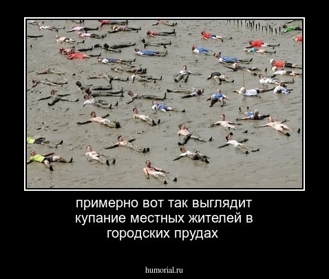 примерно вот так выглядит купание местных жителей в городских прудах