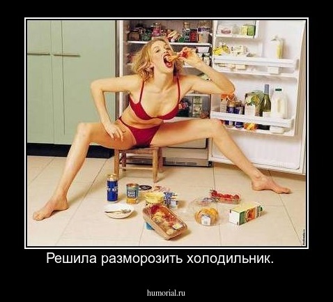 Решила разморозить холодильник.   