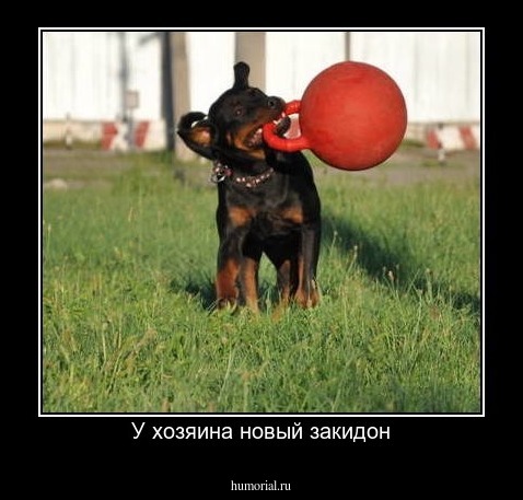 У хозяина новый закидон