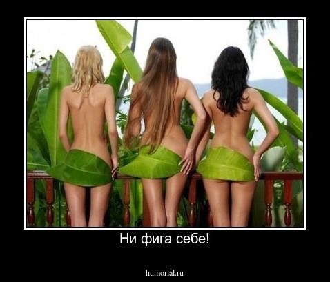 Ни фига себе!