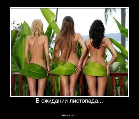 В ожидании листопада...