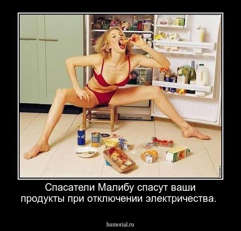 Спасатели Малибу спасут ваши продукты при отключении электричества.
