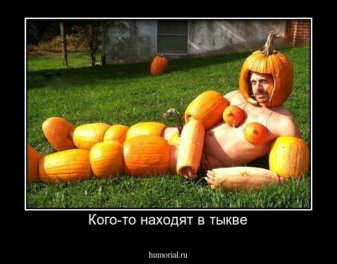 Кого-то находят в тыкве