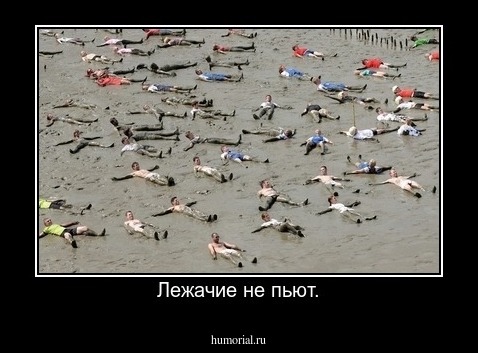 Лежачие не пьют.