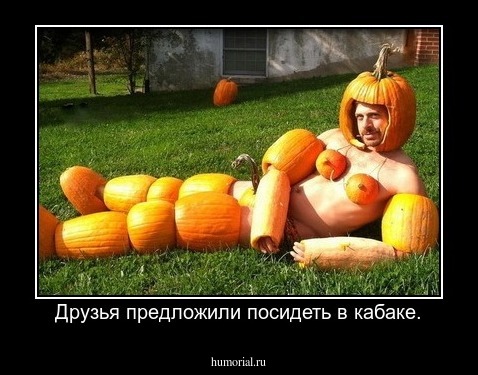 Друзья предложили посидеть в кабаке.